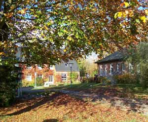 Garten im Herbst